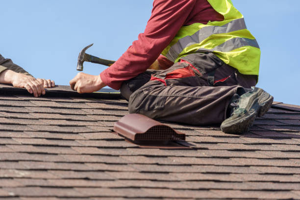 Best Shingle Roofing Installation  in Fishhook, AK