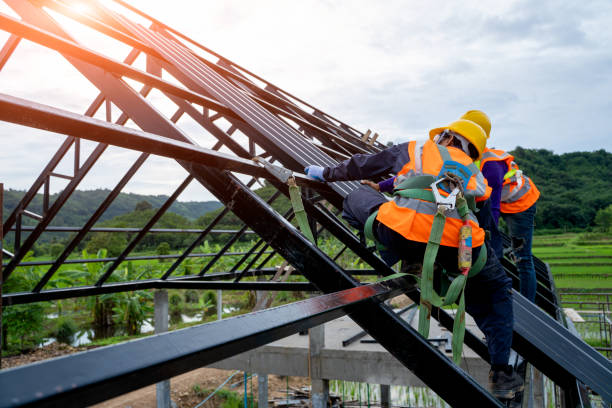 Best Storm Damage Roof Repair  in Fishhook, AK