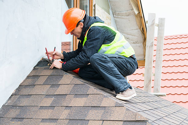 Best Roof Gutter Cleaning  in Fishhook, AK