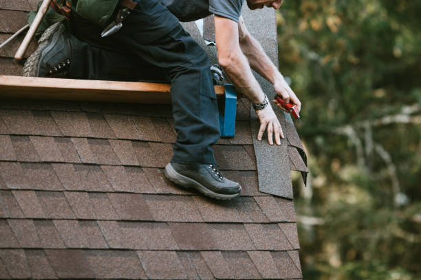 Best Residential Roofing Contractor  in Fishhook, AK