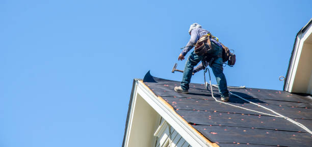 Best Roof Maintenance Services  in Fishhook, AK